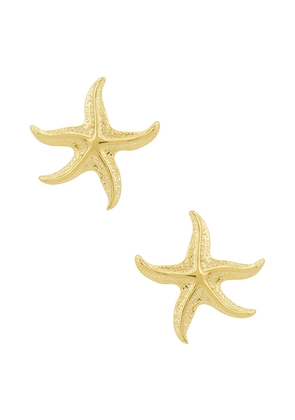 petit moments Starfish Earrings in Metallic Gold.