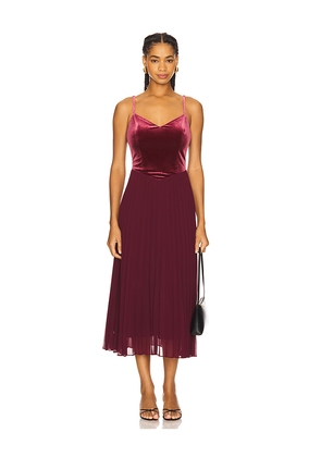 Steve Madden Estrella Dress in Wine. Size 0. Also in 10, 12, 14, 2, 4, 6, 8.