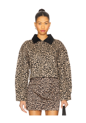 Sanctuary Cropped Barn Jacket in Brown. Size L. Also in M, S, XS.