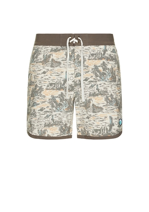 Sendero Provisions Co. Point Bar Boardshorts in Brown. Size 31. Also in 32, 33, 34.
