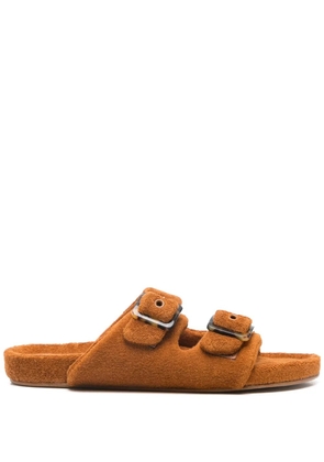 ERES Daphnée slides - Brown