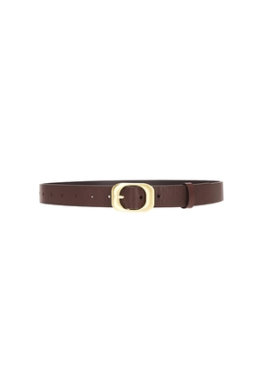 Sancia The Kylo Belt in Brown.