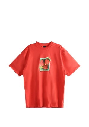 Stüssy graphic-print T-shirt - Red