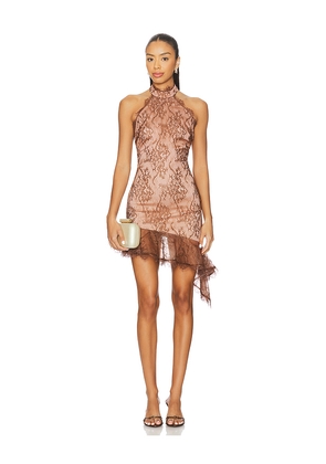 retrofete Raquelle Lace Dress in Brown. Size L. Also in M, S, XL, XS.