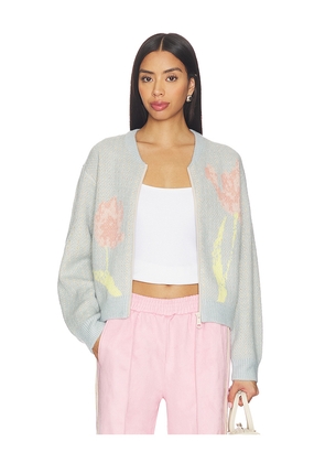 Steve Madden Jean Sweater Jacket in Baby Blue. Size L. Also in M, S, XL, XS.