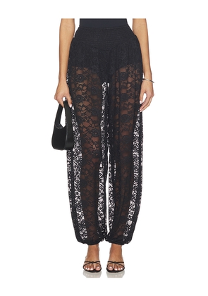 Steve Madden Alara Pant in Black. Size L. Also in M, S, XL, XS.