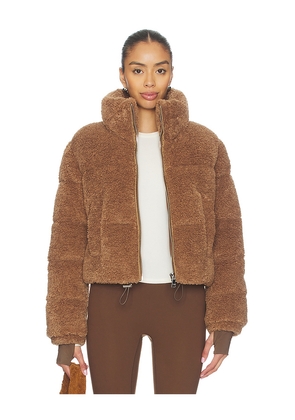 SAM. Gemma Jacket in Brown. Size L. Also in M, S.