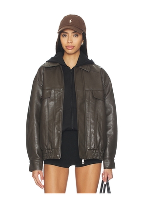 Steve Madden Henson Jacket in Brown. Size M. Also in S, XL, XS.