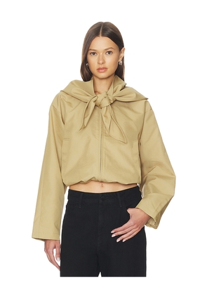 Steve Madden Heidi Jacket in Brown. Size L. Also in M, S, XL, XS.