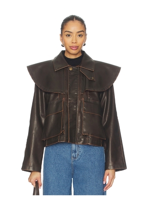 Steve Madden Varvara Jacket in Chocolate. Size L. Also in M, S, XS.