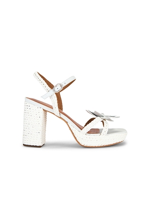 RAYE Solia Sandal in White. Size 10. Also in 10.5, 5.5, 6, 6.5, 7, 7.5, 8, 8.5, 9, 9.5.