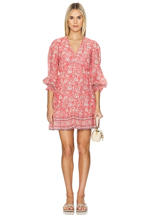 Velvet by Graham & Spencer Mary Mini Dress in Red. Size XL. Also in XS.
