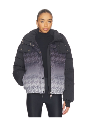 Perfect Moment Moments Ski Jacket in Black,Grey. Size S. Also in XS, L.