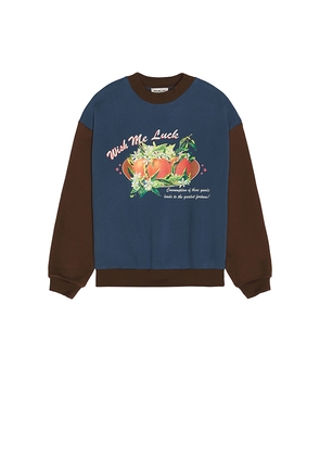 Wish Me Luck Greatest Fortune Crewneck Sweater in Blue,Brown. Size L. Also in M, S, XL/1X, XS.