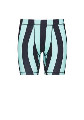 Y,IWO Hardwear Bike Shorts in Blue. Size L. Also in XL/1X.