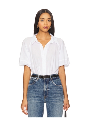 Velvet by Graham & Spencer Autumn Top in White. Size M. Also in S.