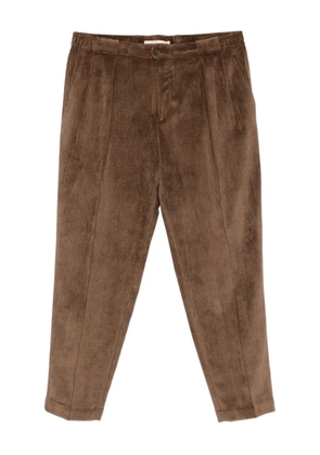 Briglia 1949 Portobello corduroy trousers - Brown