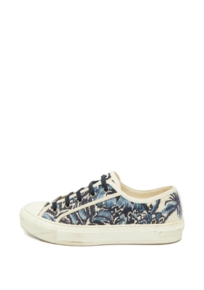 Christian Dior Pre-Owned Walk'n'Dior canvas sneakers - Blue