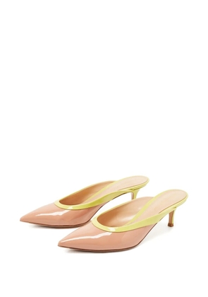 Gianvito Rossi pointed-toe mules - Neutrals