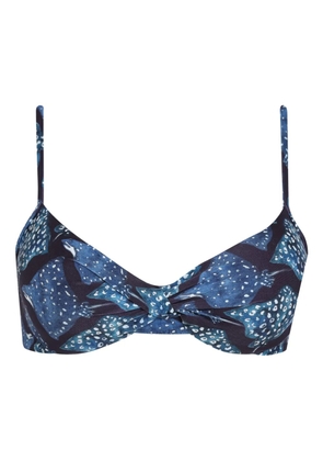 Lygia & Nanny Fiji bikini top - Blue
