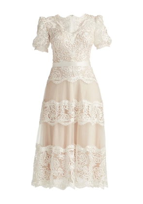 Tadashi Shoji Belline lace ribbon midi dress - White