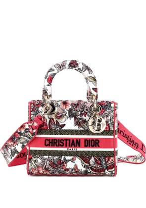 Christian Dior Pre-Owned Lady D-Lite Bag Embroidered Canvas Medium satchel - Multicolour