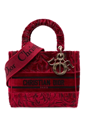 Christian Dior Pre-Owned 2021 Medium Embroidered Velvet Roses Lady D Lite satchel