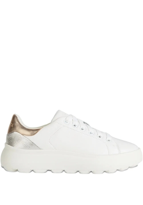 Geox Spherica Ec4.1 leather sneakers - White