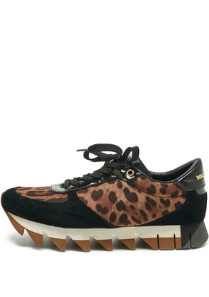 Dolce & Gabbana Pre-Owned leopard-print sneakers - Brown
