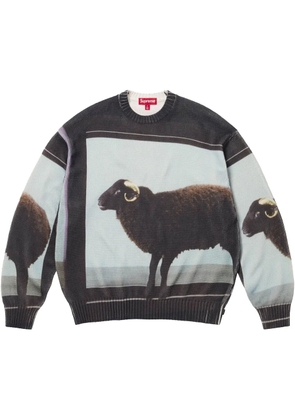 Supreme x Damien Hirst intarsia-knit sweater - Black