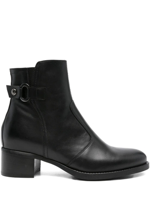 NERO GIARDINI 50mm buckle-detail ankle boots - Black