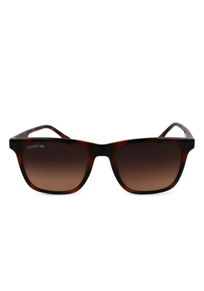 Lacoste logo-print sunglasses - Brown