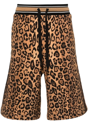 Dolce & Gabbana cheetah-print track shorts - Brown