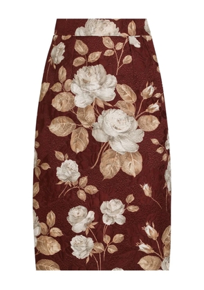 Dolce & Gabbana rose-print midi pencil skirt - Red