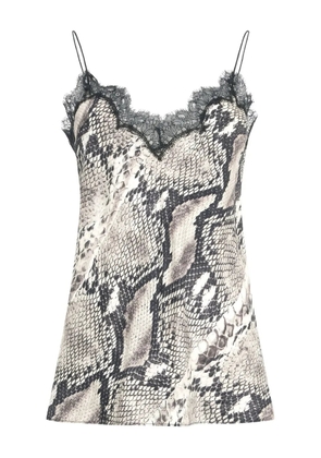 Roberto Cavalli snake-print lace-trimmed top - Grey