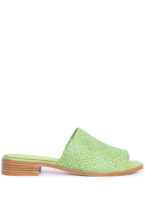Sarah Chofakian Trama slides - Green