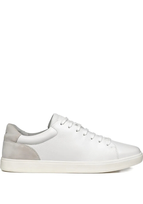 Geox Avola sneakers - White