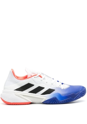 adidas logo-embellished low-top sneakers - Blue