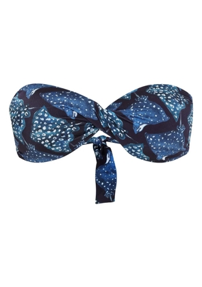 Lygia & Nanny Hawaii bikini top - Blue