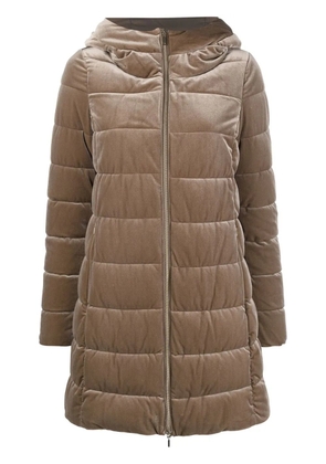 Geox velvet-effect padded jacket - Brown