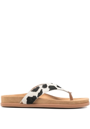 Ancient Greek Sandals cow-embellishment sandals - Neutrals