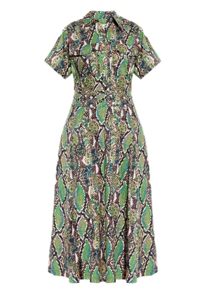 DVF Diane von Furstenberg Hadara dress - Green