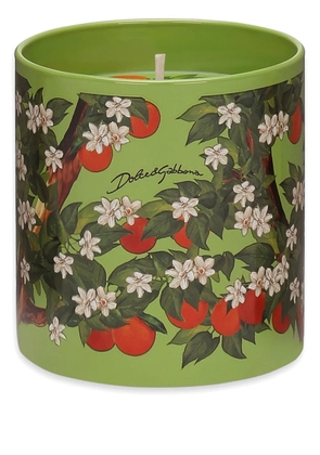 Dolce & Gabbana scented candle - Green