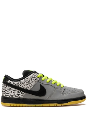 Nike SB Dunk Low Premium QS 'Djck 112' sneakers - Grey