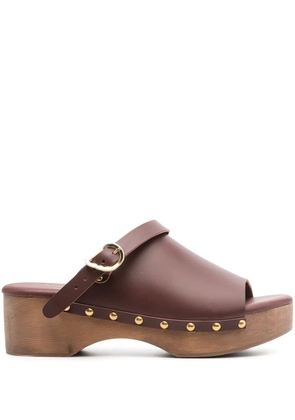 Ancient Greek Sandals buckled leather clogs - Brown