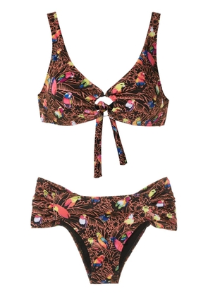 Amir Slama Papagaio print bikini set - Black