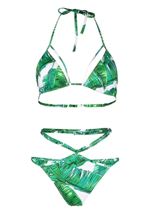 Noire Swimwear jungle-print Isla bikini - Green