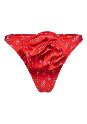 Magda Butrym floral-print bikini bottoms - Red