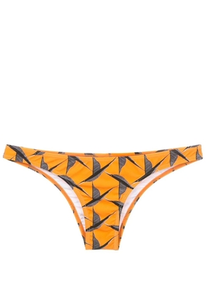 Lygia & Nanny Poipu bird-print bikini bottom - Orange