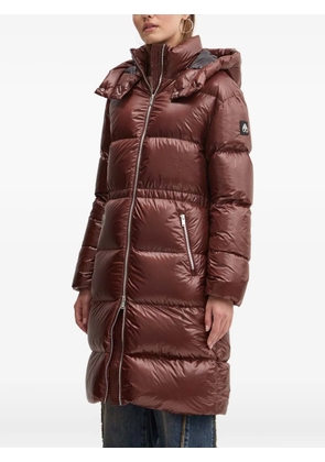 Moose Knuckles padded hooded jacket - Brown